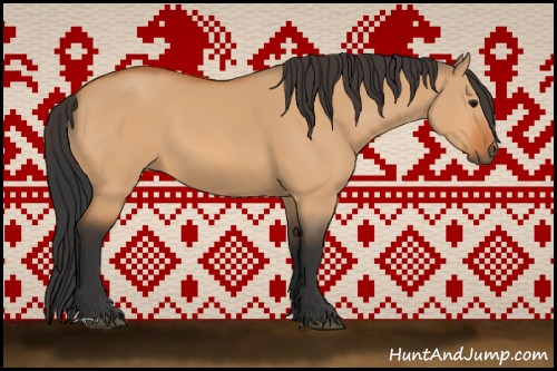 Horse Color:Bay Dun