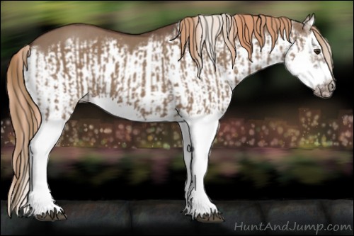 Horse Color:Liver Red Dun Splash and Liver Red Dun Splash Frame