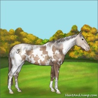 Horse Color:White Spotted Black Pearl 