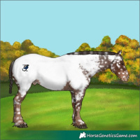 Horse Color:White Spotted Liver Red Roan Appaloosa Rabicano