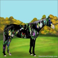 Horse Color:Nacre White Spotted Amber Champagne Ice Appaloosa 