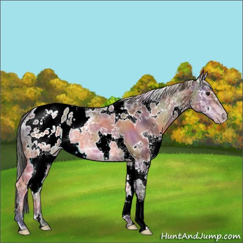 Horse Color:Nacre White Spotted Brown Ice Mushroom Varnish