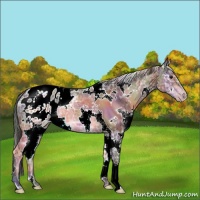 Horse Color:Nacre White Spotted Brown Ice Mushroom Varnish