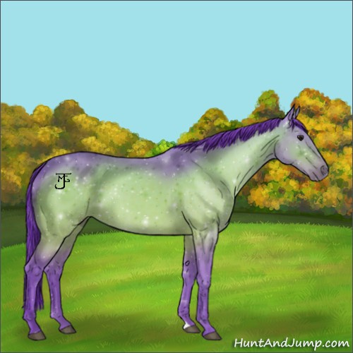 Horse Color:Watercolor Brown