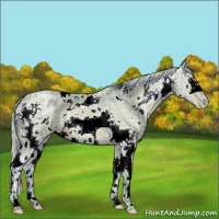 Horse Color:Watercolor White Spotted Silver Bay Ice Pearl