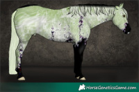 Horse Color:ERROR: UNKNOWN ANOMALY