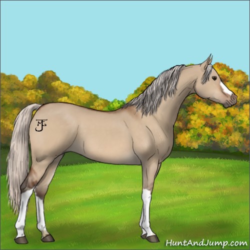 Horse Color:Silver Bay Dun