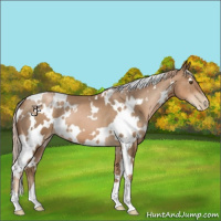 Horse Color:White Spotted Liver Chestnut Pearl 