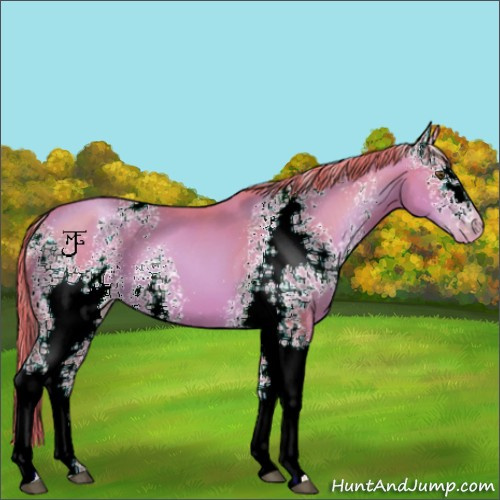 Horse Color:Watercolor White Spotted Liver Chestnut Pearl 