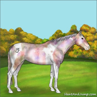 Horse Color:Nacre Watercolor Silver Sable Champagne Ice Onyx Tobiano Appaloosa 