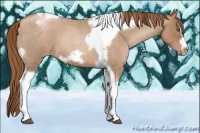 Horse Color:Liver Red Roan Pearl Tobiano Frame 