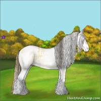 Horse Color:White Spotted Buckskin Dun Rabicano  and White Spotted Buckskin Dun Appaloosa Rabicano 