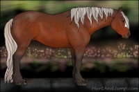 Horse Color:Silver Brown 