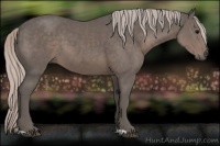 Horse Color:Silver Black 