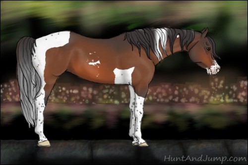 Horse Color:Bay Sabino Tobiano 