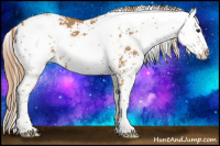 Horse Color:Chestnut Sabino 
