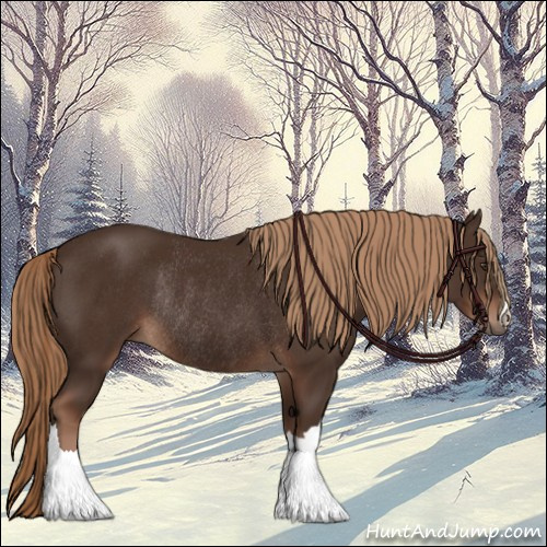 Horse Color:Liver Chestnut Rabicano