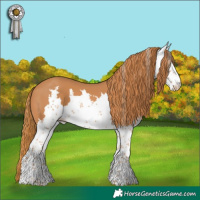 Horse Color:Chestnut Sabino