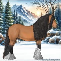 Horse Color:Bay Tobiano 