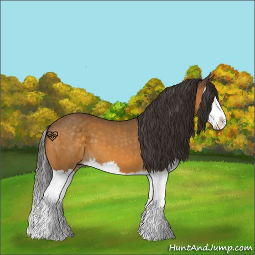 Horse Color:Buckskin Splash 