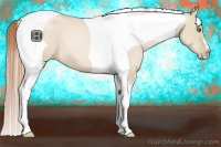 Horse Color:Smoky Grullo Pearl Tobiano
