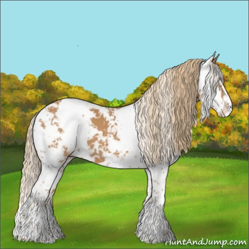 Horse Color:Chestnut Sabino 