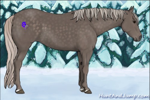 Horse Color:Silver Black 