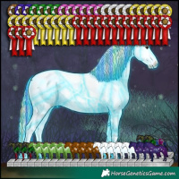 Horse Color:Painted Thunderstruck Chestnut Ice Sabino Appaloosa 