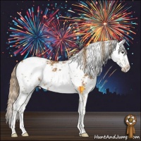 Horse Color:Chestnut Sabino 