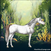 Horse Color:Chestnut Sabino