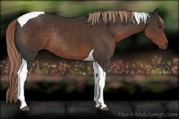 Horse Color:Liver Chestnut Tobiano Rabicano 