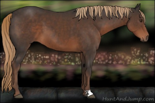 Horse Color:Liver Chestnut
