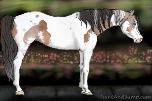 Horse Color:Bay Splash Tobiano 