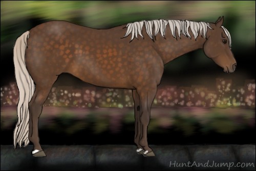 Horse Color:Silver Buckskin