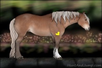 Horse Color:Silver Brown Sabino Tobiano Rabicano