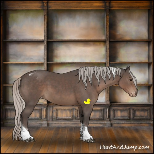Horse Color:Silver Black Tobiano Varnish