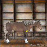 Horse Color:Silver Black Tobiano Appaloosa