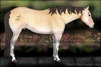 Horse Color:Buckskin Roan Onyx 