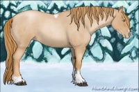 Horse Color:Red Roan Pearl Tobiano Frame 