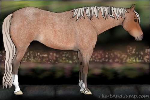 Horse Color:Silver Brown Roan