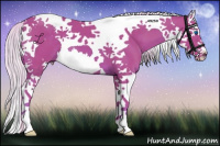 Horse Color:Watercolor Chestnut Splash Tobiano 