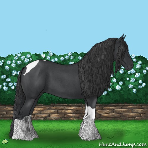 Horse Color:Blue Roan Tobiano