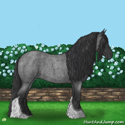 Horse Color:Blue Roan Tobiano 