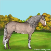 Horse Color:White Spotted Silver Brown Dun Mushroom 