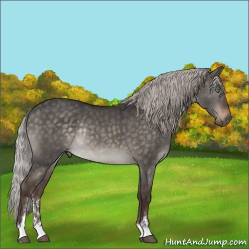 Horse Color:Silver Brown Dun Mushroom Sabino Rabicano