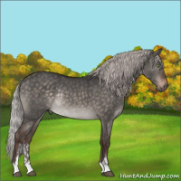 Horse Color:Silver Brown Dun Mushroom Sabino Rabicano