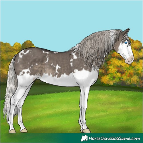 Horse Color:White Spotted Silver Smoky Grullo Sabino Splash 