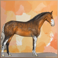 Horse Color:Silver Buckskin Sabino 