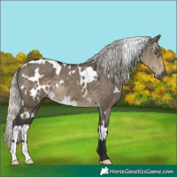 Horse Color:White Spotted Silver Smoky Grullo Mushroom
