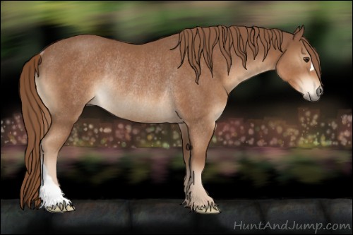 Horse Color:Chestnut Rabicano 